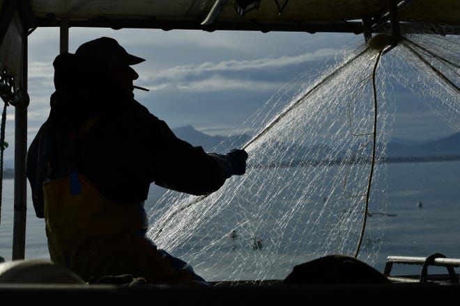 January 14, 2024: A fisherman arranges fishing nets on board the fishing boat "Saint-Pierre" off Guethary, southwestern France. To limit the accidental capture of dolphins, the French government issued a decree on Oct. 2023 banning fishing to 8-meter-long (or bigger) boats from Jan. 22 to Feb. 20 inclusive between 2024 and 2026.
