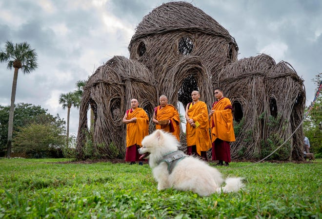 January 24, 2024 : Oscar sits on the lawn asTibetan monks of Drepung Gomang Monastery in Karnataka State, South India, recite prayers during the blessing of animals at Mounts Botanical Garden in West Palm Beach, Florida.