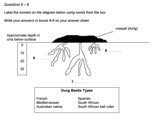 Image: ielts-reading-diagram-completion